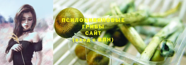 бошки Алзамай