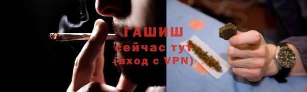 индика Абаза