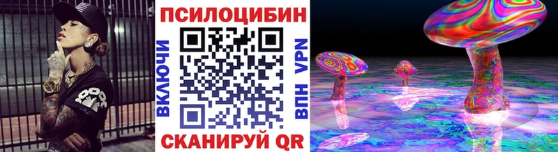 площадка состав  Арсеньев  Псилоцибиновые грибы прущие грибы 